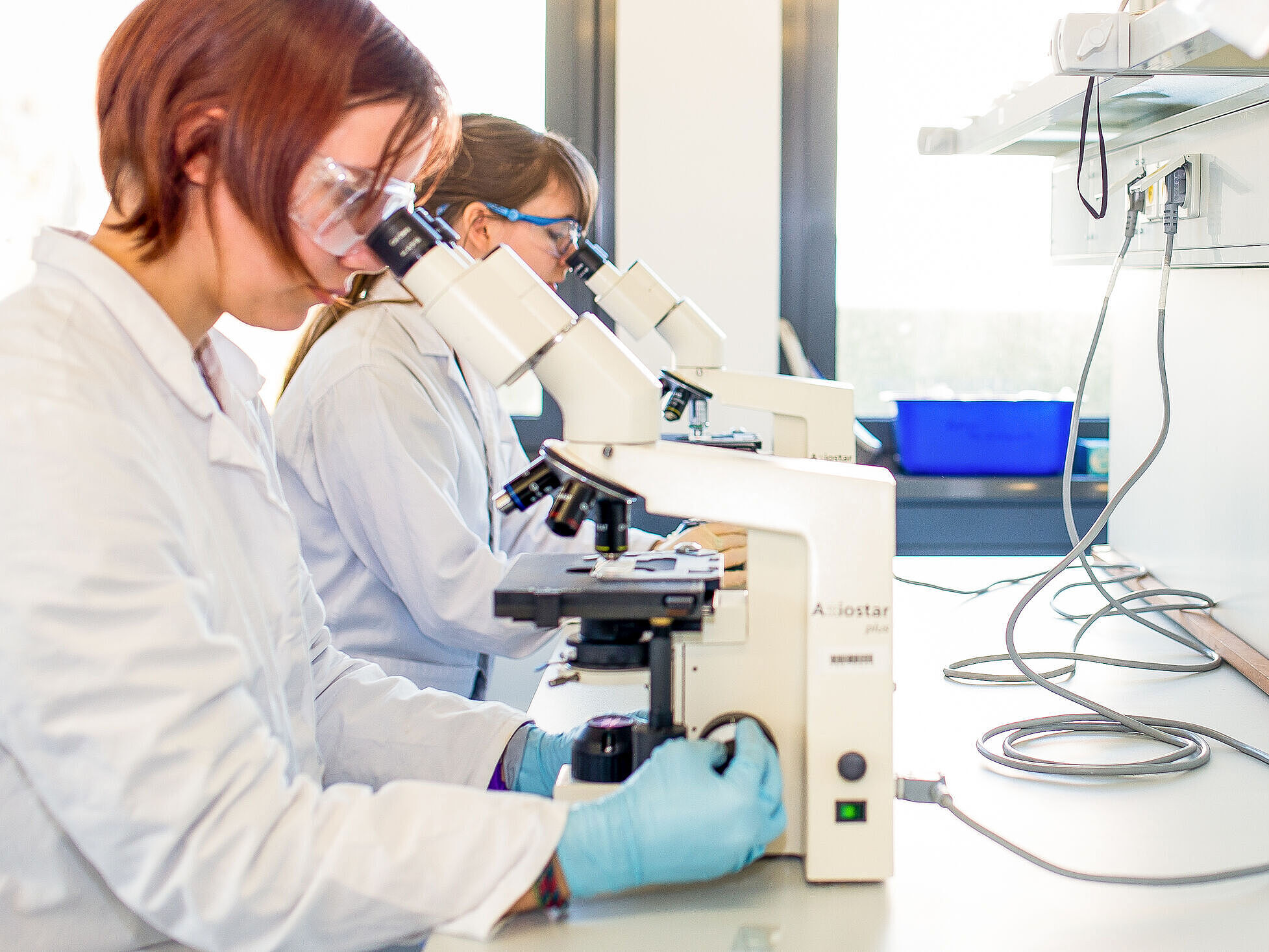 Symbolbild Labor Zwei Personen in weißen Laborkitteln betrachten konzentriert Proben unter Mikroskopen in einem hellen Laborraum.