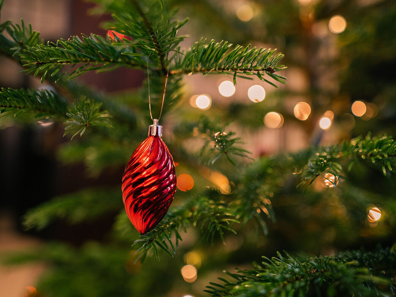 Symbolbild Weihnachtsbaum Ein geschmückter Weihnachtsbaumzweig mit einer glänzenden roten Christbaumkugel, im Hintergrund leuchten Lichter unscharf.