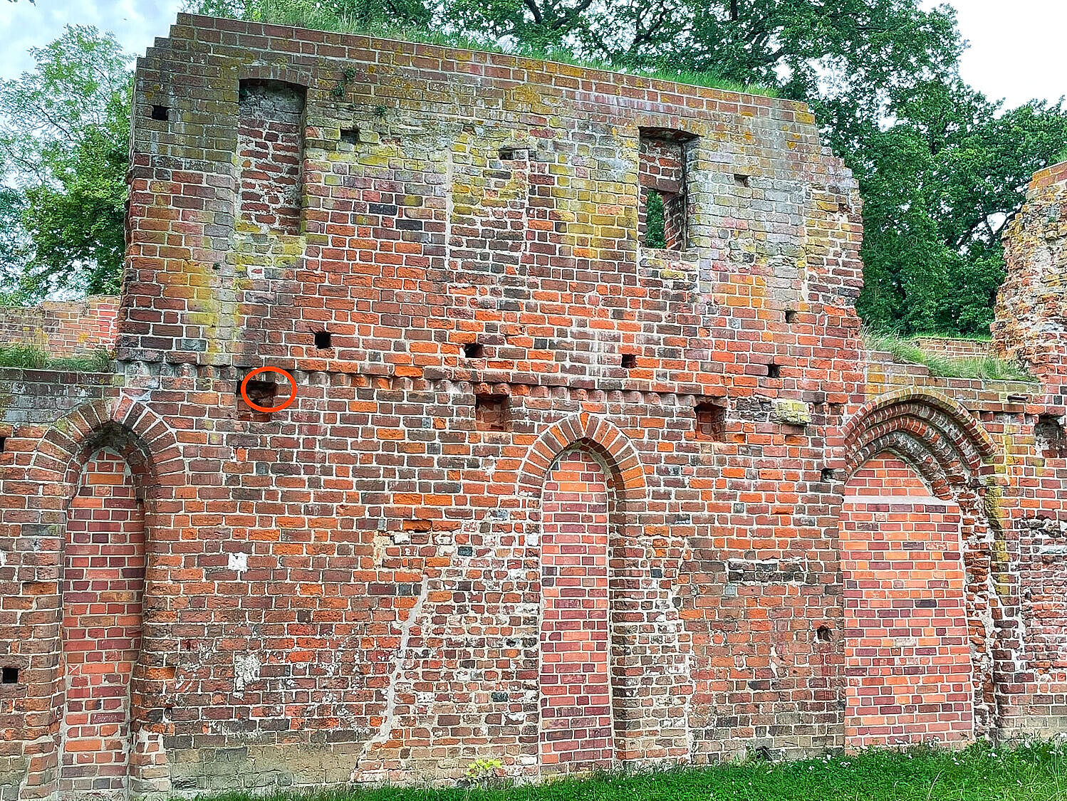 Östliche Außenmauer des Ostflügels des Klosters Eldena bei Greifswald mit eingezeichneter Verortung des Backsteins mit der Runeninschrift. 
