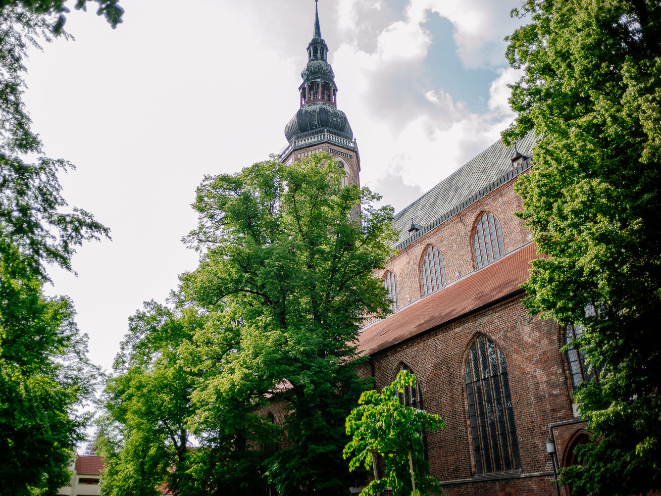 Dom St. Nikolai Blick auf den Vorplatz des Doms St. Nikolai, dessen hoher Kirchturm von hohen grünen Bäumen verdeckt wird.