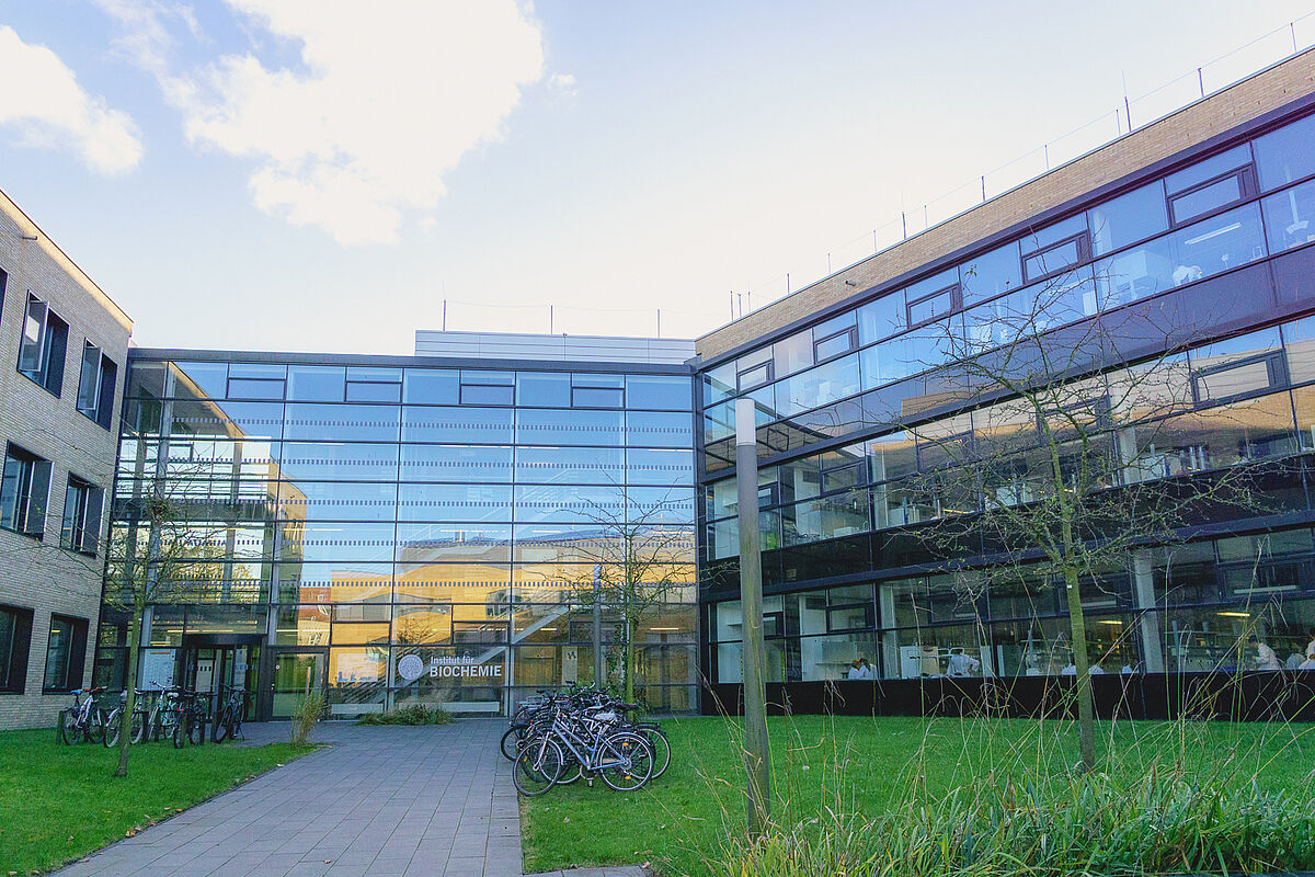 Das Institut für Biochemie. Im Vordergrund ein gepflasterter Weg sowie rechts und links eine grüne Wiese. Fahrräder stehen an deren Rändern.