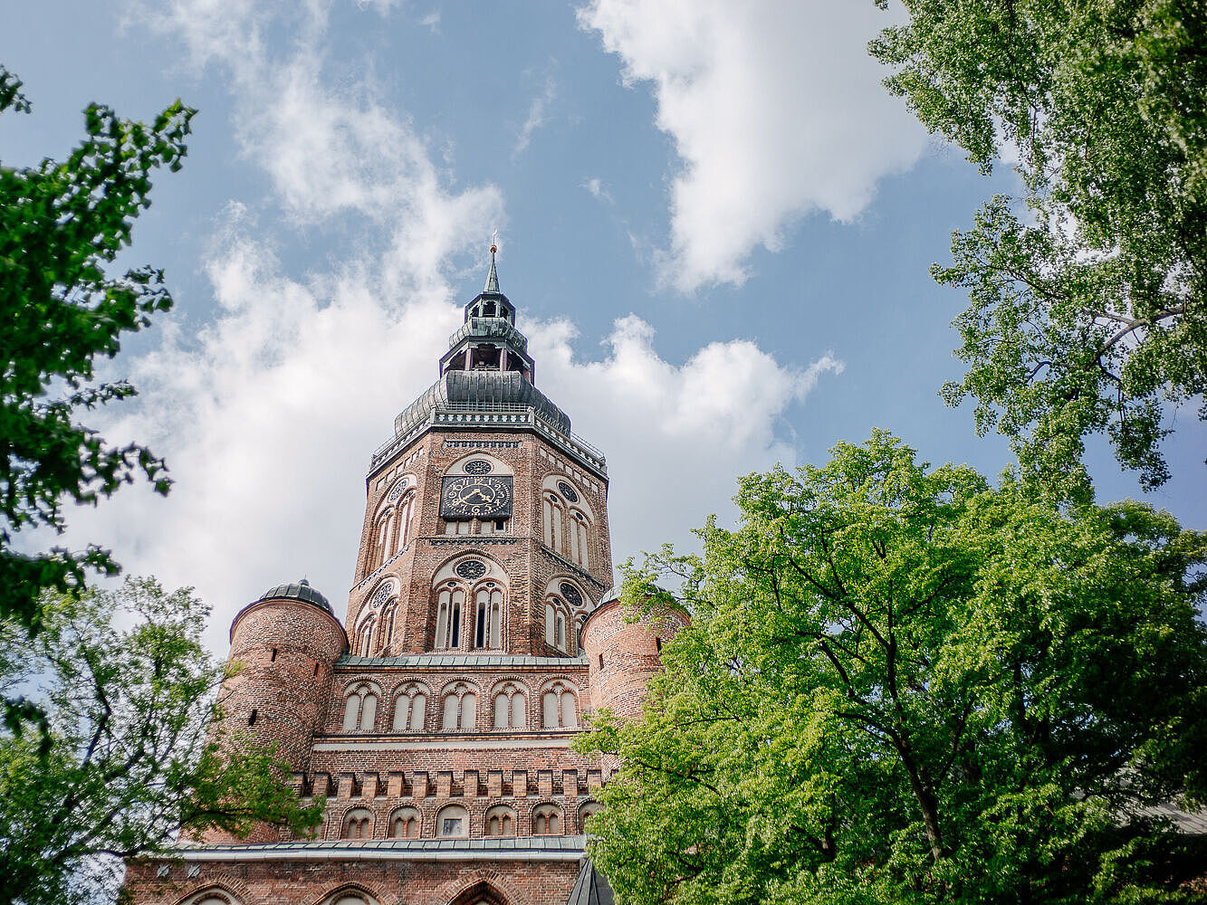 Blick auf den Dom St. Nikolai Blick auf den Turm des Domes St. Nikolai. Rechts und links stehen hohe Bäume mit grünem Laub..